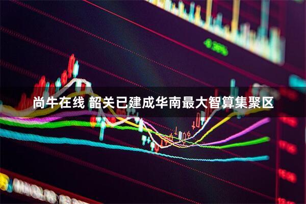 尚牛在线 韶关已建成华南最大智算集聚区