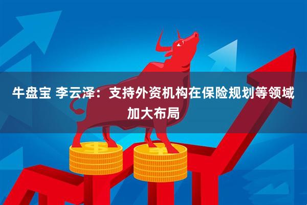牛盘宝 李云泽：支持外资机构在保险规划等领域加大布局