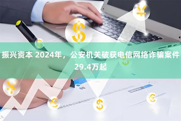 振兴资本 2024年，公安机关破获电信网络诈骗案件29.4万起
