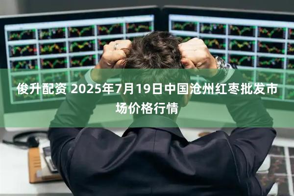 俊升配资 2025年7月19日中国沧州红枣批发市场价格行情