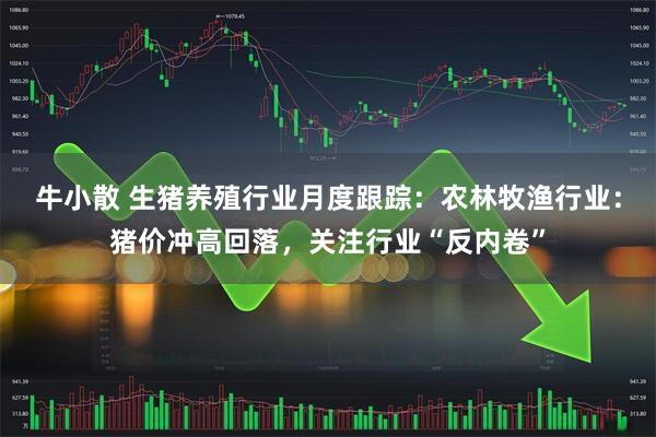牛小散 生猪养殖行业月度跟踪：农林牧渔行业：猪价冲高回落，关注行业“反内卷”