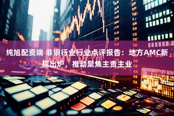 纯旭配资端 非银行业行业点评报告：地方AMC新规出炉，推动聚焦主责主业