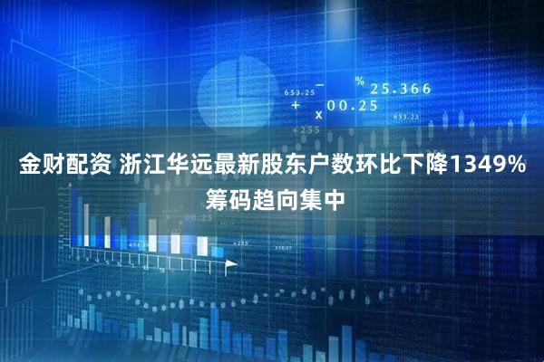 金财配资 浙江华远最新股东户数环比下降1349% 筹码趋向集中